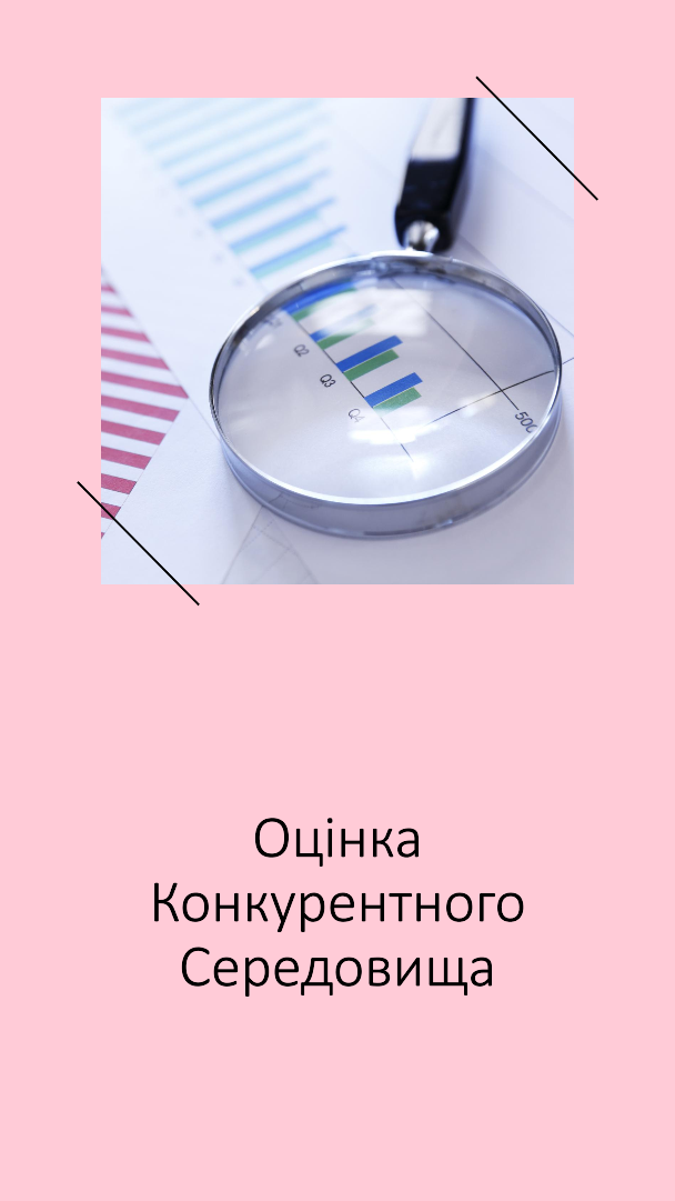 Оцінка конкурентного середовища власного бізнесу